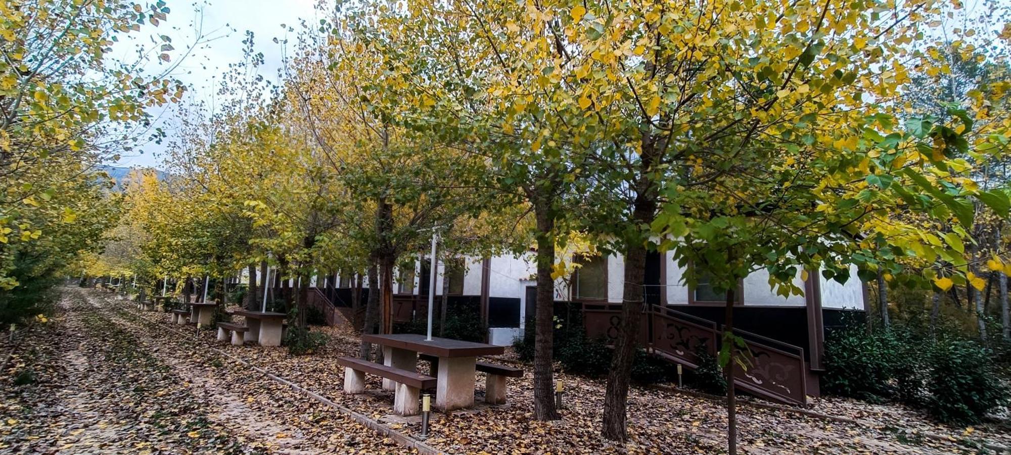 Casas Rurales Vado Del Rio Tus Cortijo Prados Exterior foto